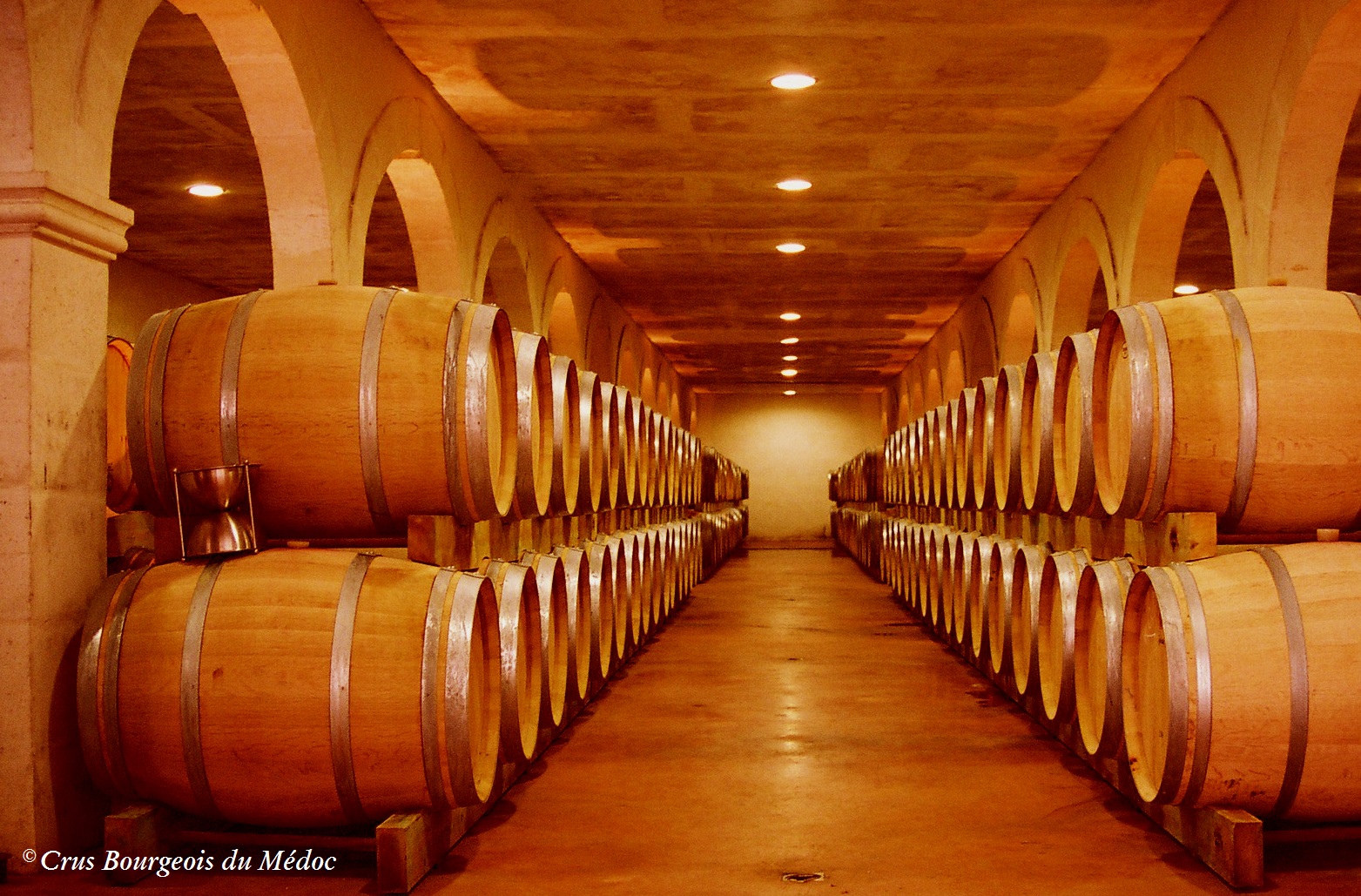 The Cellars
