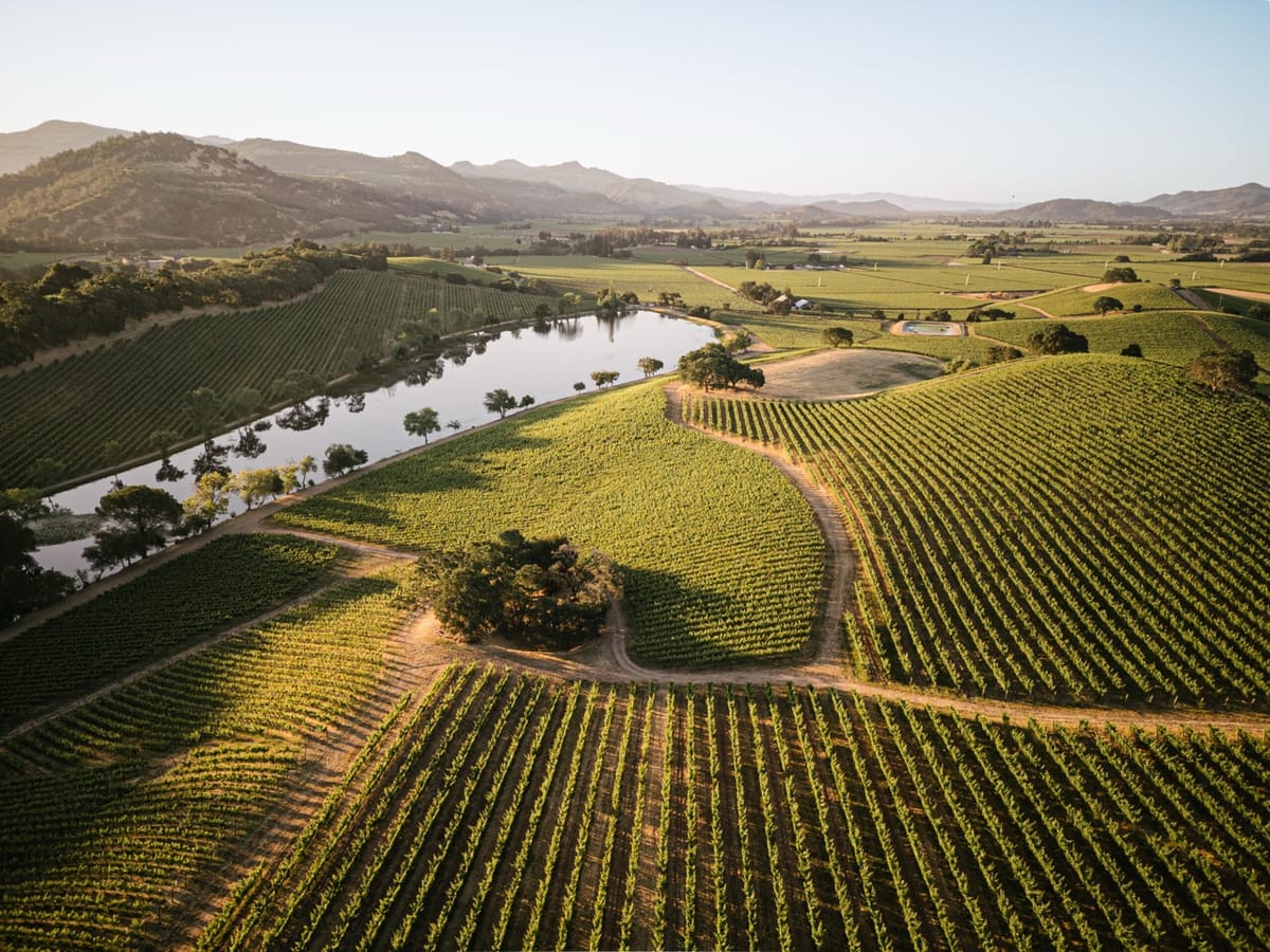 Quintessa - The Jewel of Napa Valley
