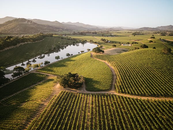 Quintessa - The Jewel of Napa Valley