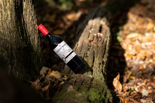 A Century of Curiosity: Ramón Bilbao Tasting at Sam’s Riverside